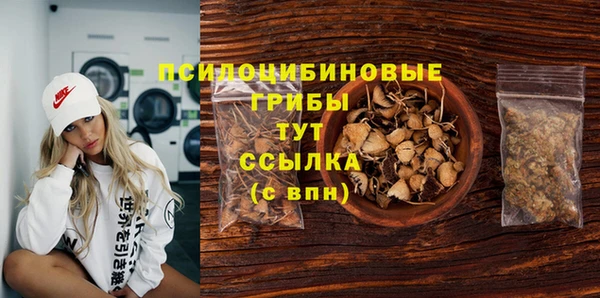 стафф Алексеевка