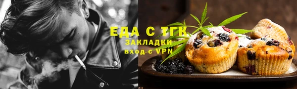 индика Алзамай