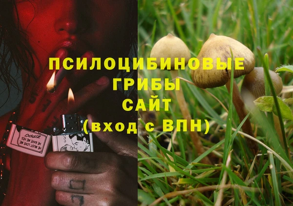 PSILOCYBIN Алексин
