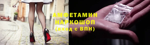 индика Алзамай