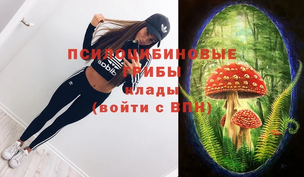 стафф Алексеевка