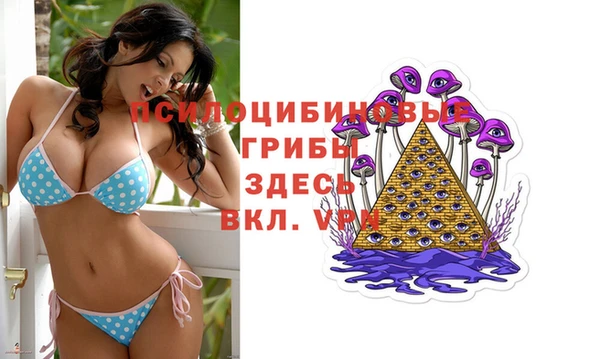 стафф Алексеевка