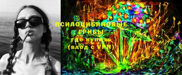 PSILOCYBIN Алексин